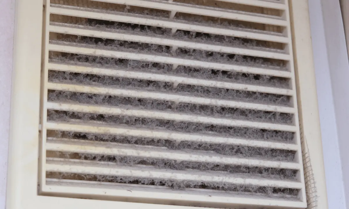 Dirty Ducts Needs Cleaning