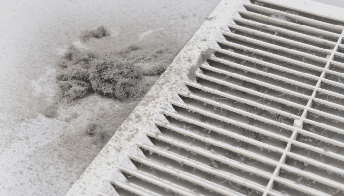Importance of Air Duct Cleaning for AC Performance