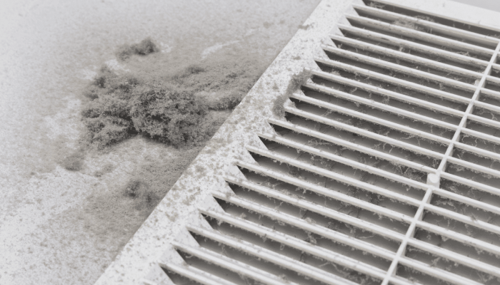 Importance of Air Duct Cleaning for AC Performance